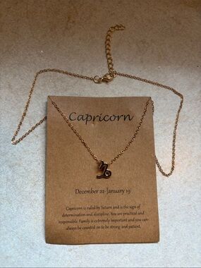 Capricorn Zodiac Pendant Necklace - Capricorn